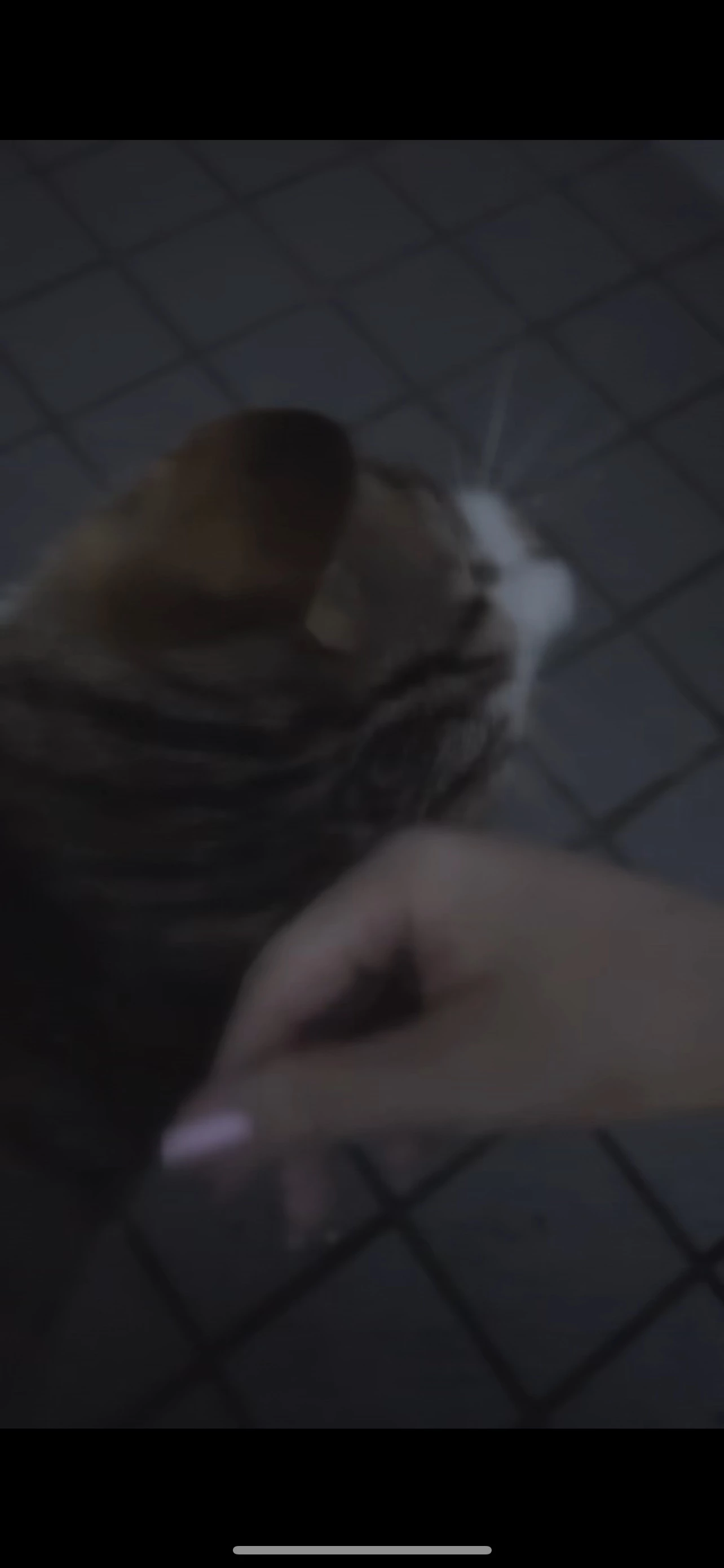 れむ
