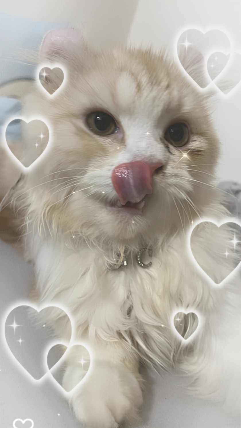 あずにゃ