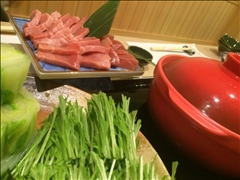 心海 るり