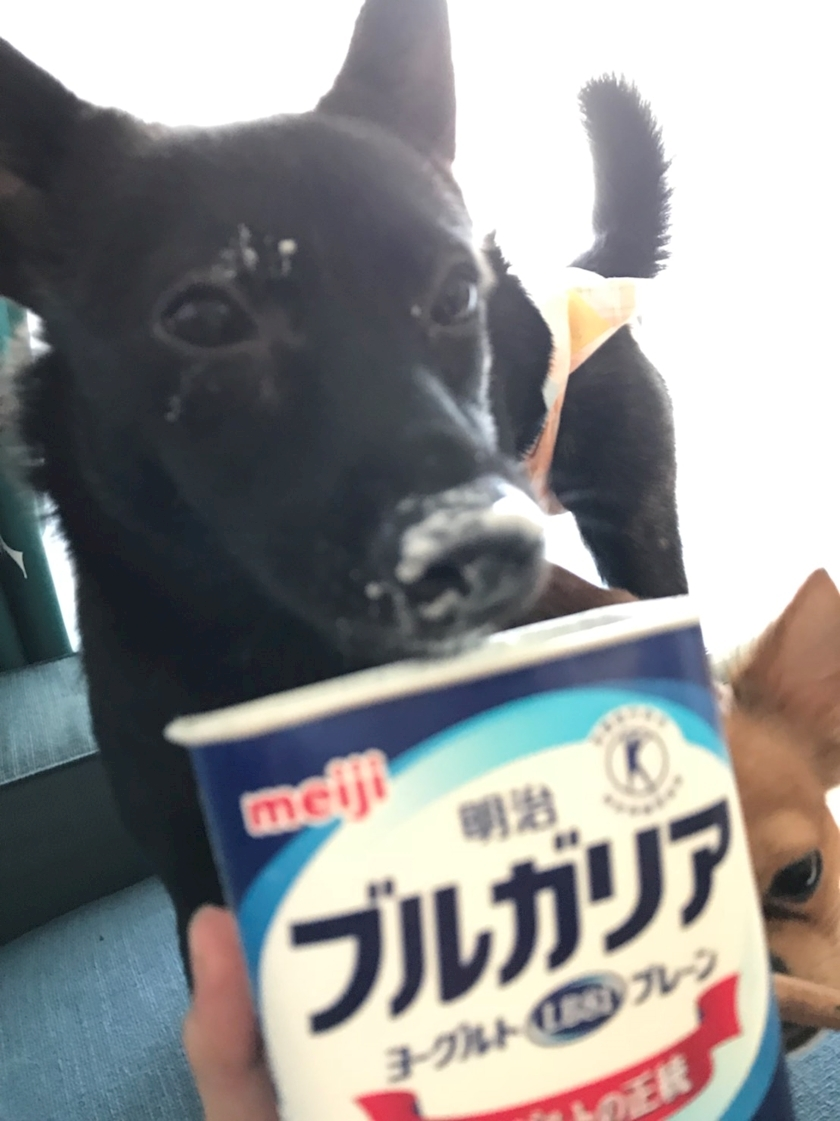 ユカ
