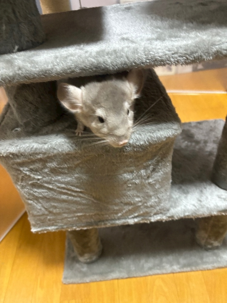 なっちゃん