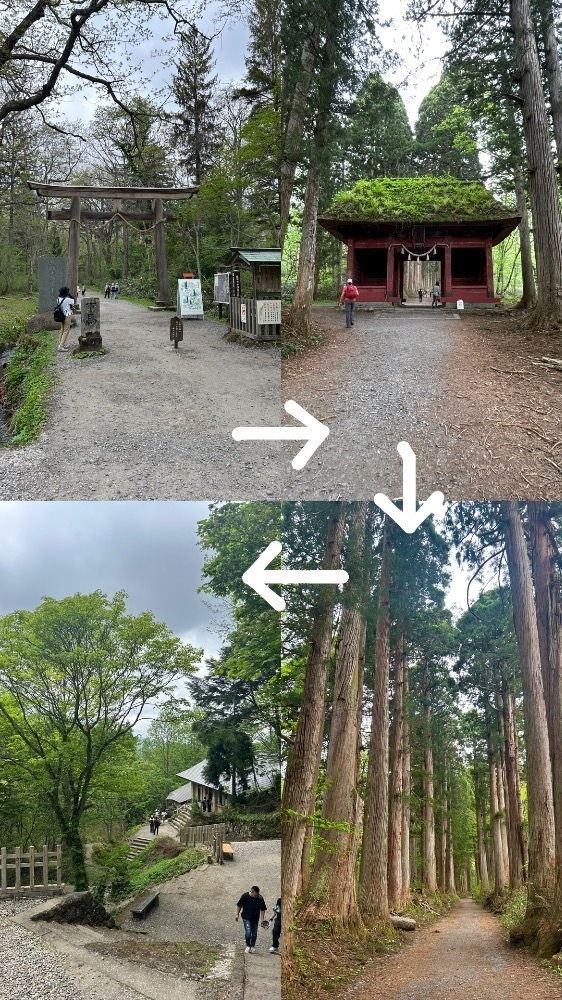 かびるんるんさわ
