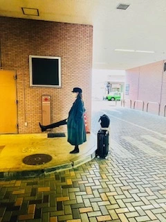 ゆかり
