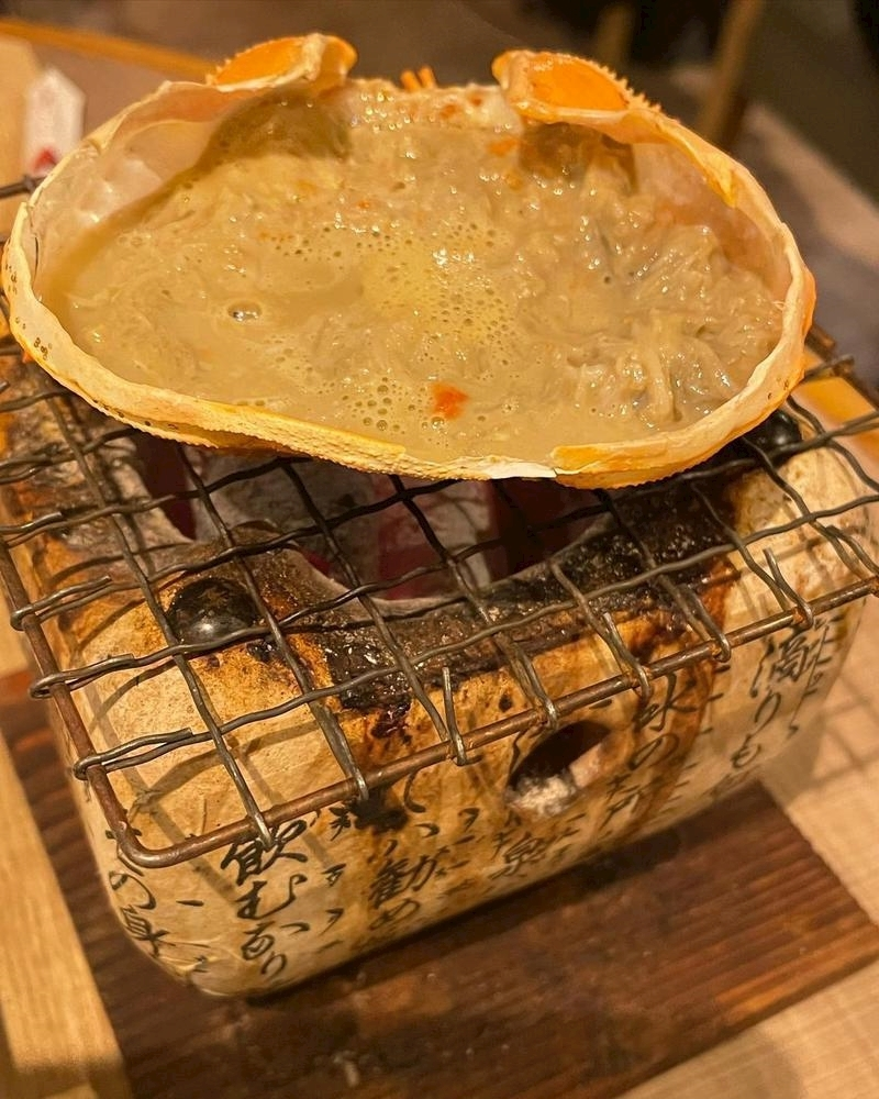 朝倉 しおり