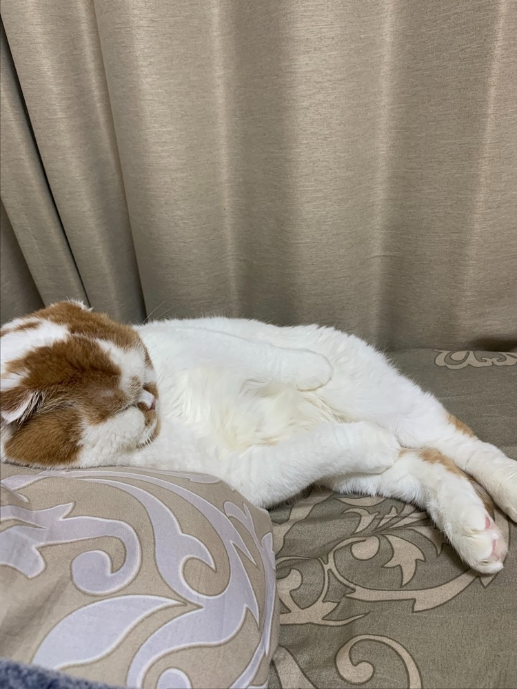 れみ