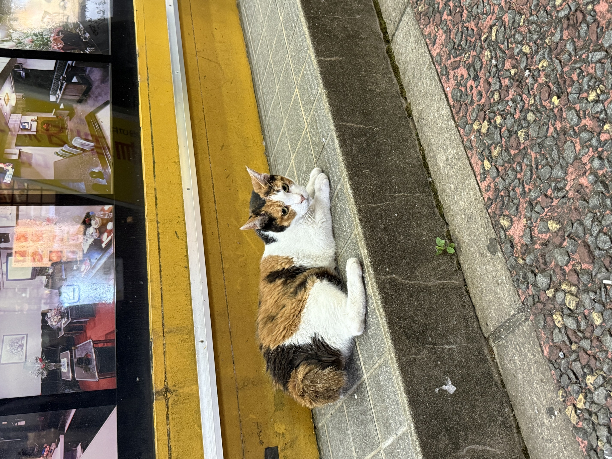 かえで