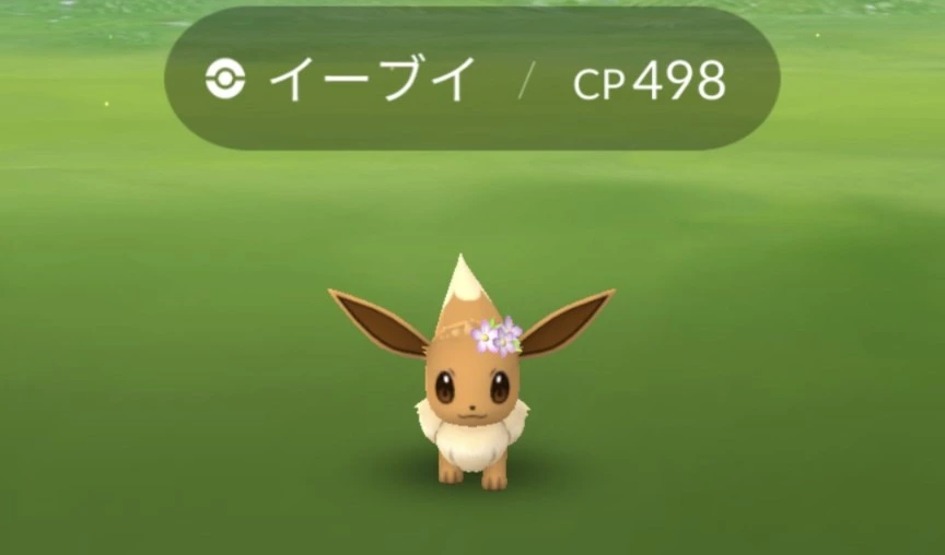 五条 椿