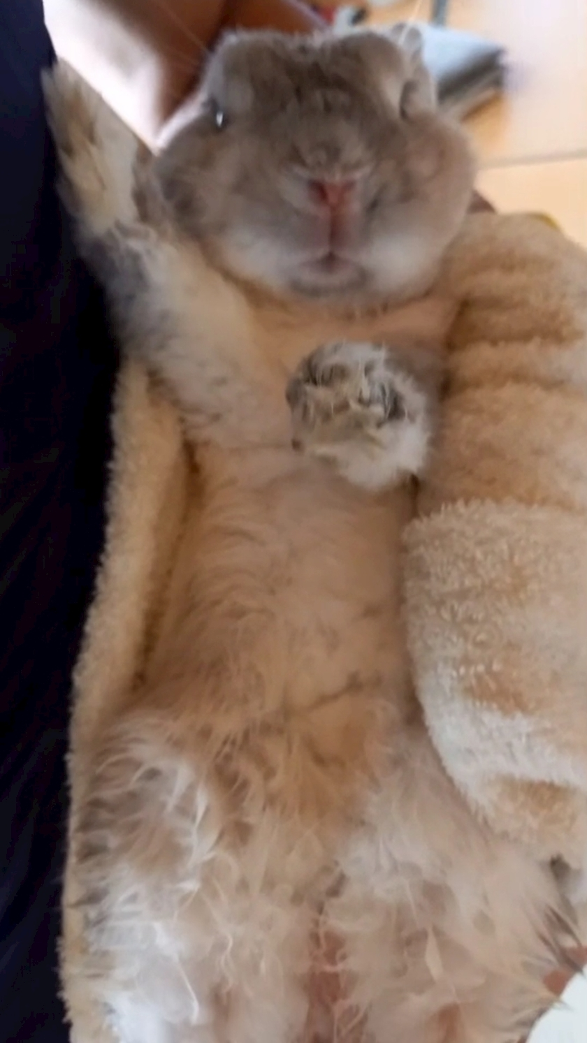 ゆきの