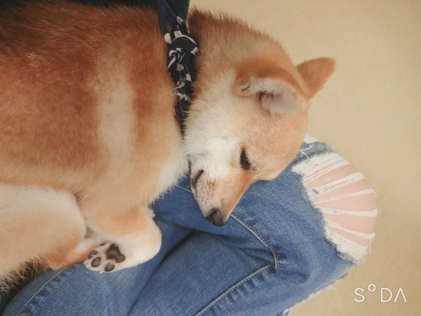 みづき