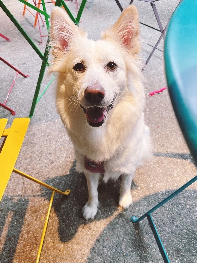 京 さゆみ