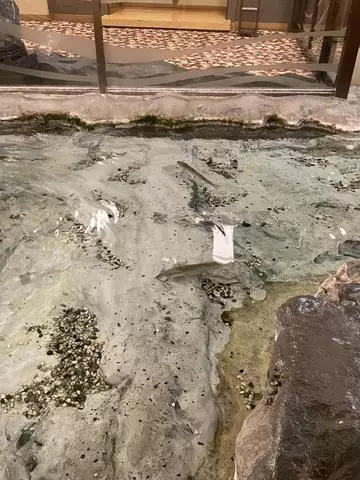 長瀬 純恋