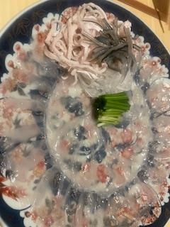 成海 まお