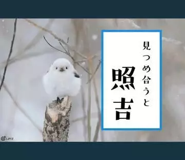 ひな