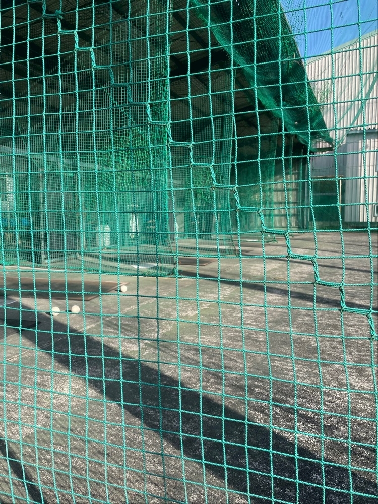 美月