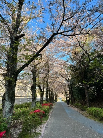 まみ