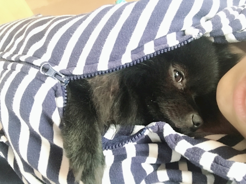 ティナ