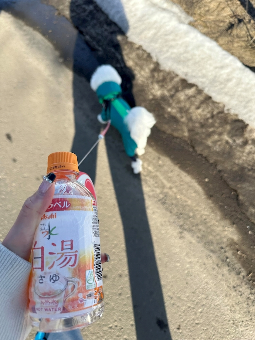 神楽 ゆあ