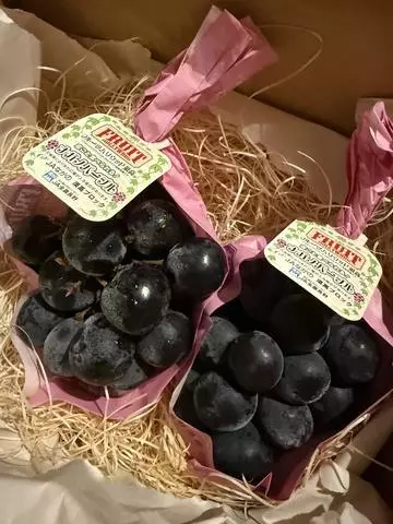 白石 愛莉