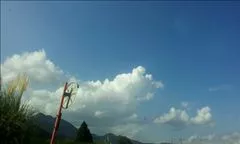桃瀬 百華