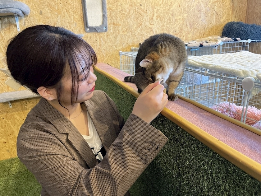 ひなた