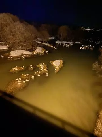 長瀬 純恋