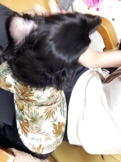 りえ