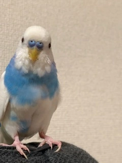 なぎさ