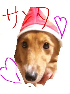 ゆりこ