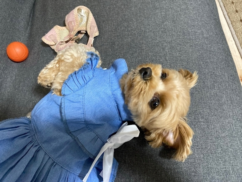 たむ