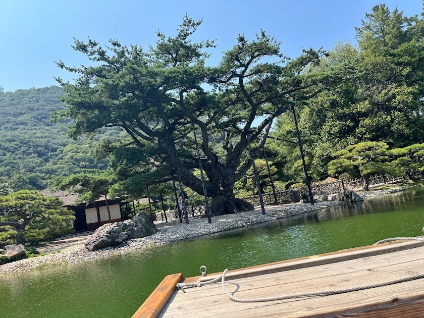 へべれけ酔拳あや