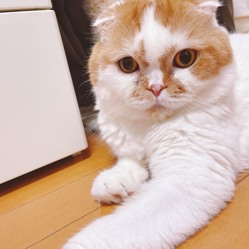 れみ