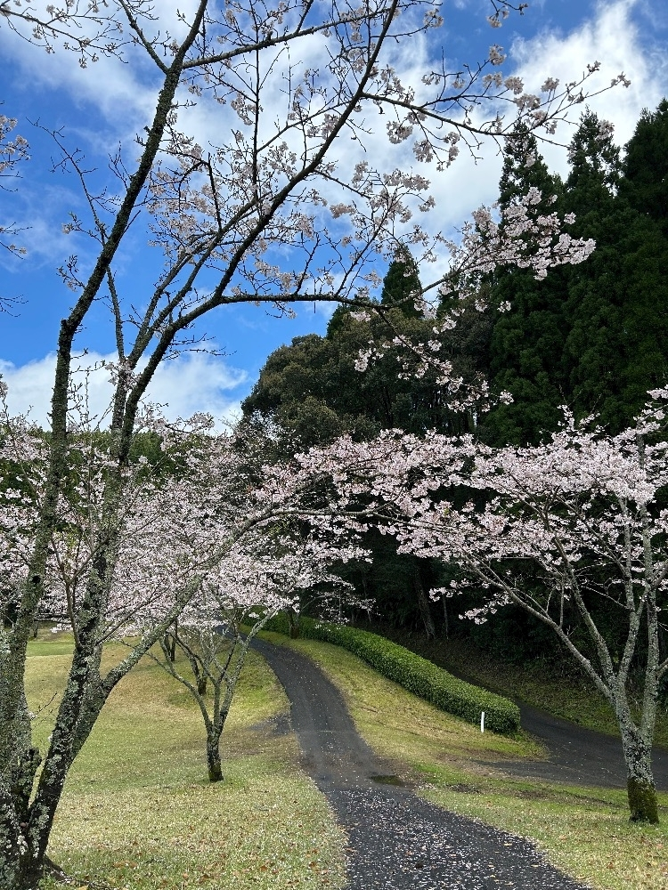 美月