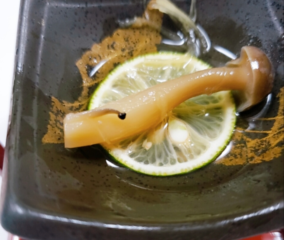 紫音