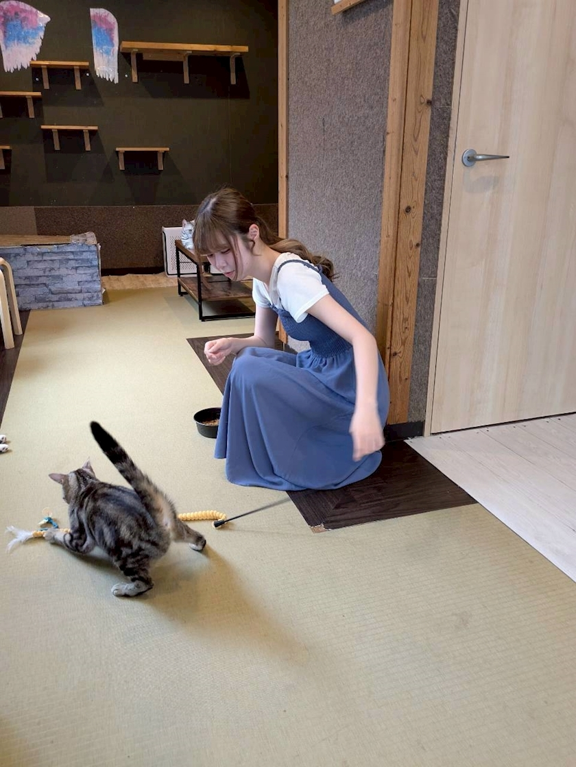 すみれ
