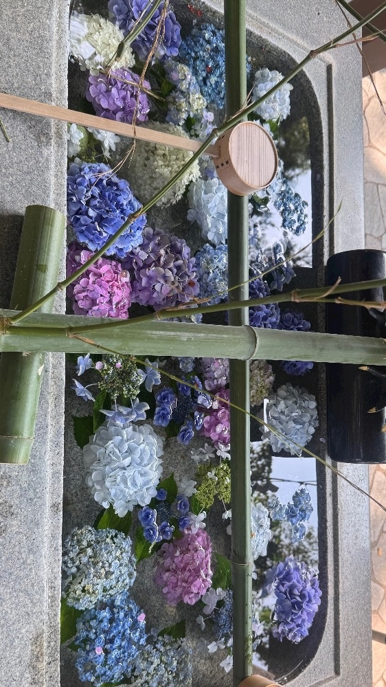 花宮 さくら