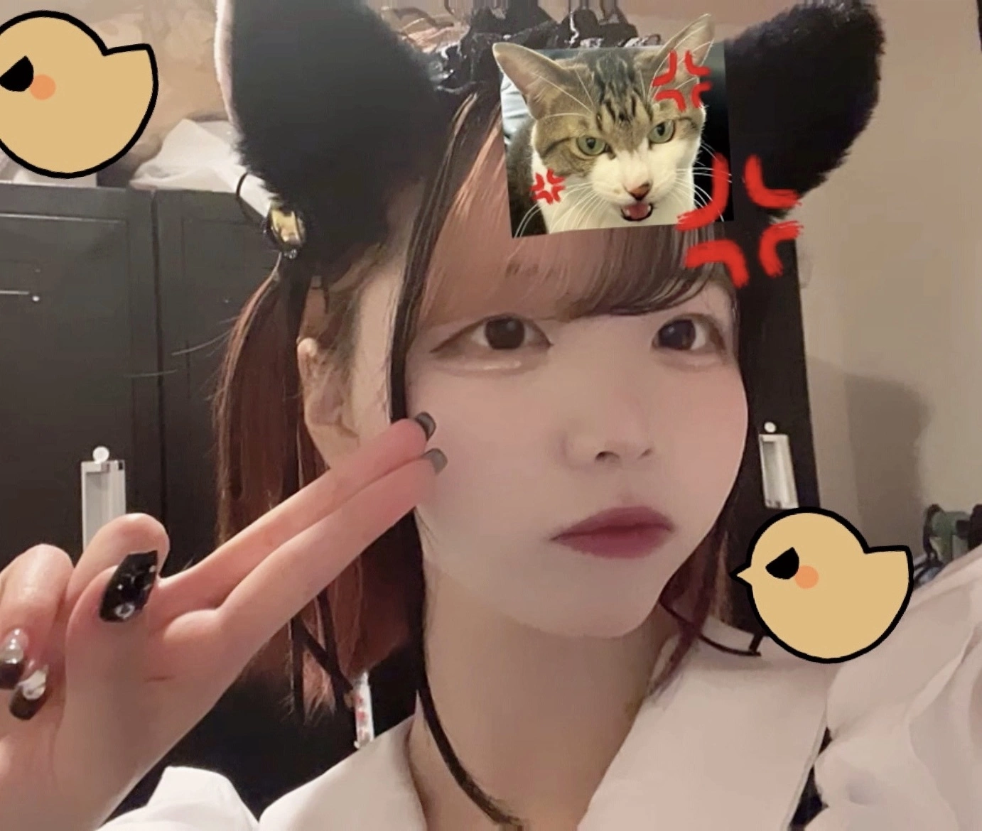 あいる