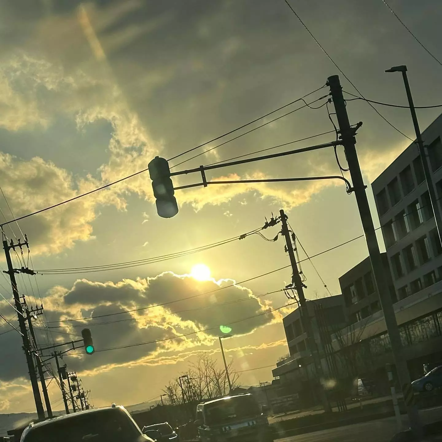 はづき