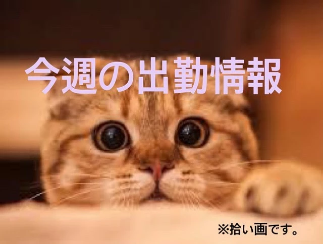 純