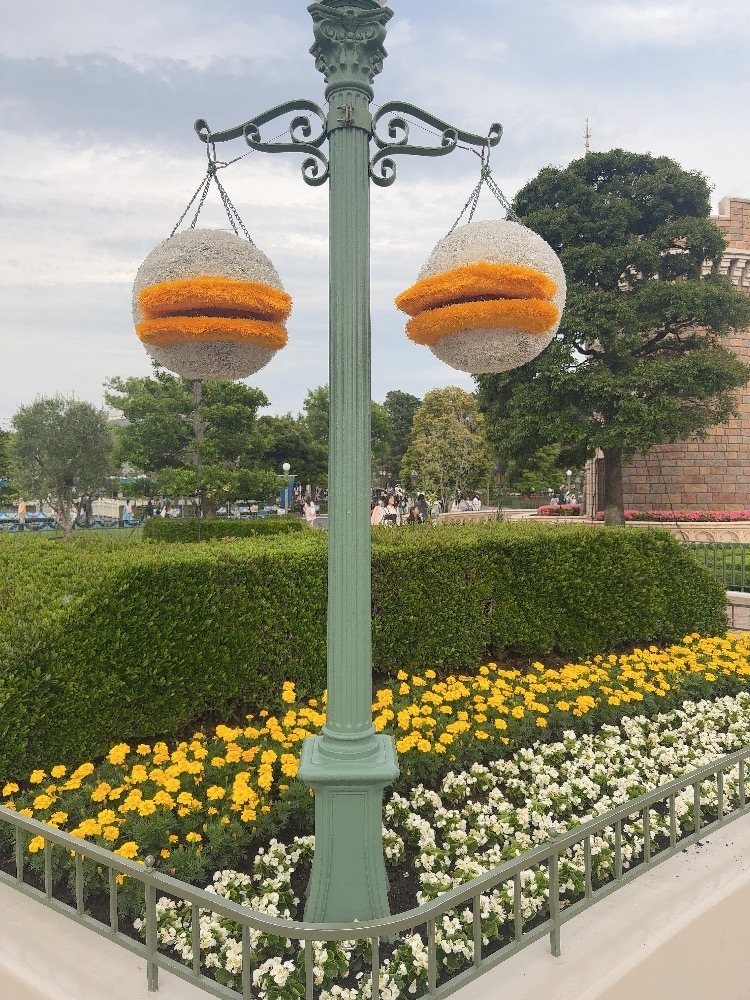 ミイ