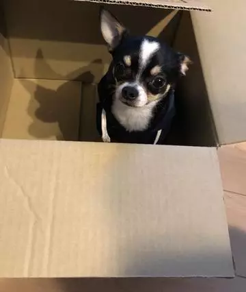 長瀬 純恋