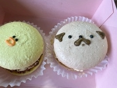 ゆう