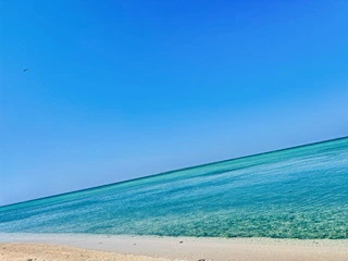 ゆかり