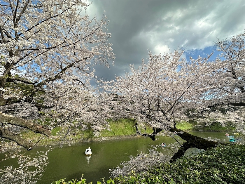 たむ