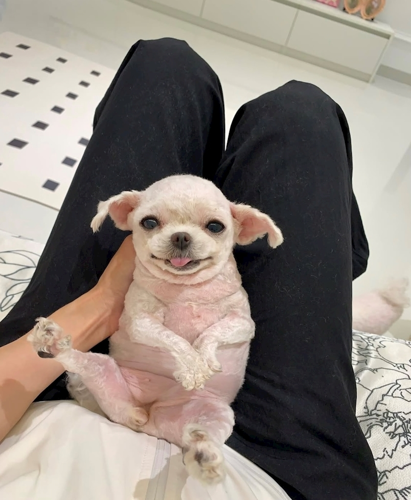 泉 ゆうき