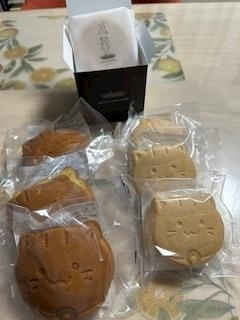 桐島 りゅう