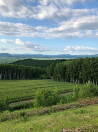 宝條 夏恋