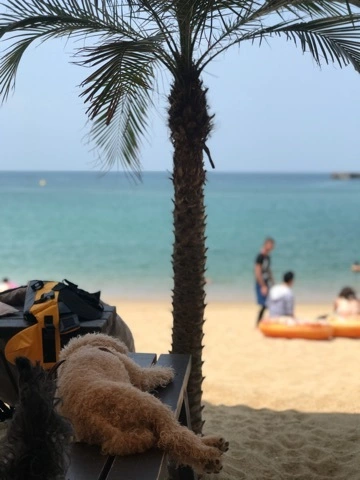 なな