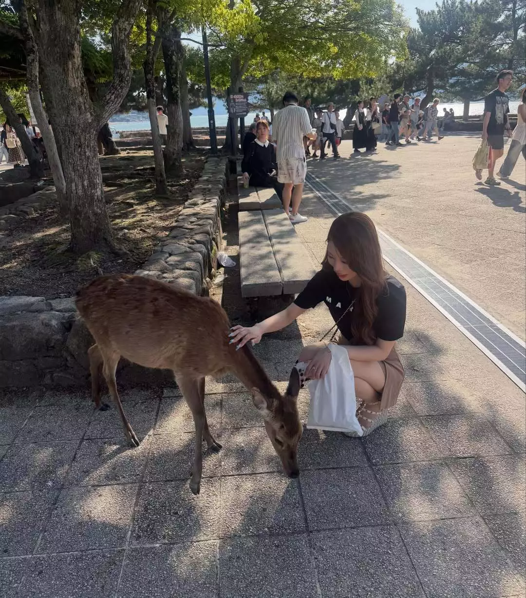 如月 ゆめ