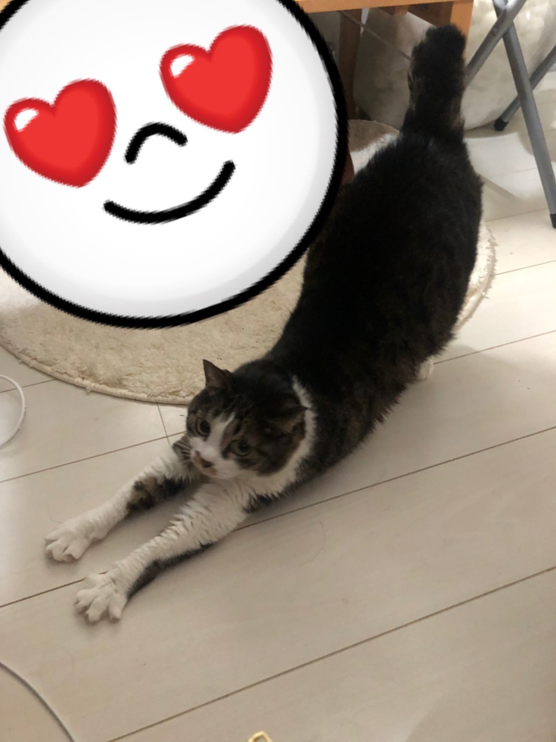 あいり