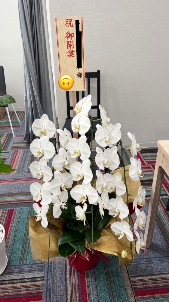 美月